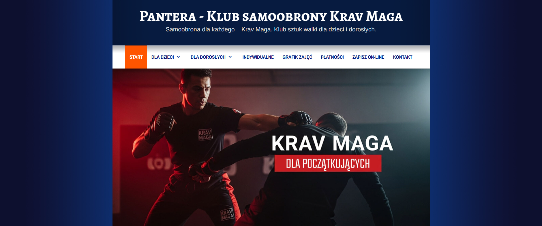 Old pantera.waw.pl hero — generic WordPress theme with text overlay on stock-style image